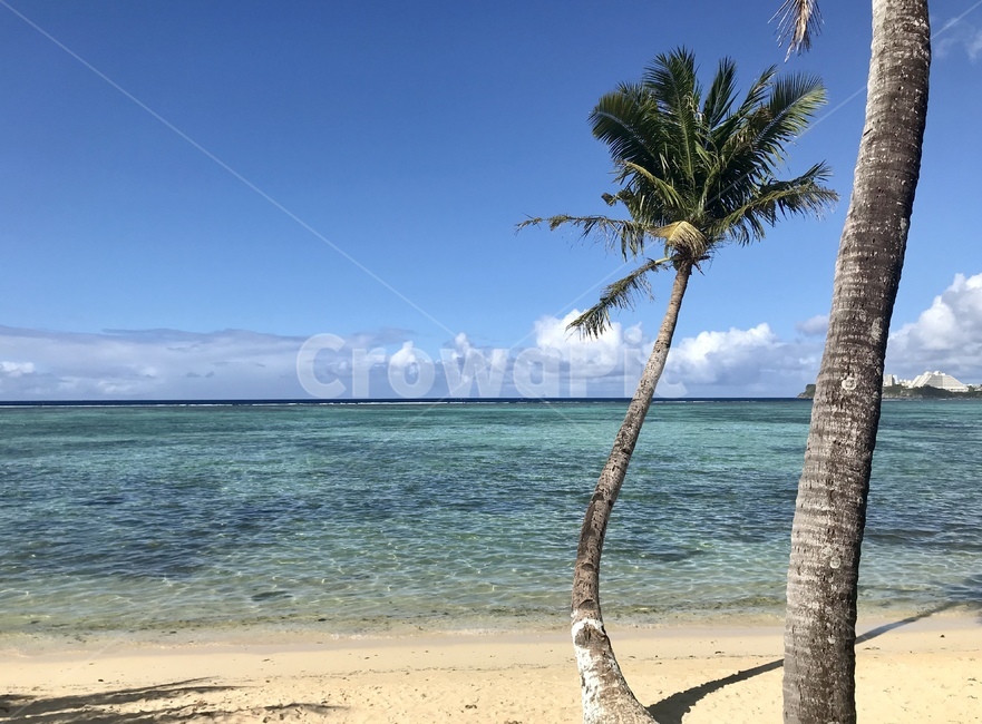 괌,바다,해변,야자수,하늘,여름,summer,palmtree,해변,바다,beach,sea