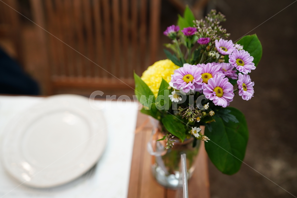 꽃,플라워,flower,감성,색감,컬러,식물,생물,생명,화병,인테리어,장식,잎,식물,자연,plants,nature,꽃,flower,실내용화초,화분,화초,house plant,인테리어,실내디자인,interior design