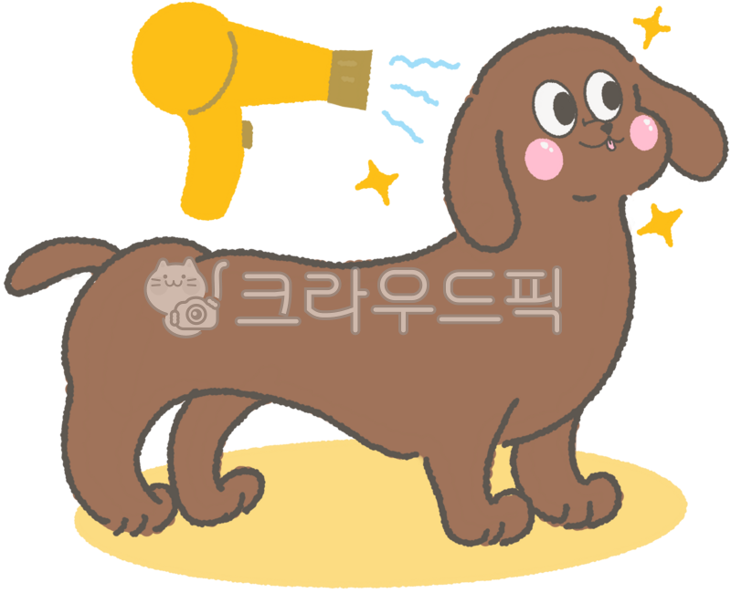 개,강아지,반려견,동물,닥스훈트,믹스견,애견샵,개견미용실,드라이기,드라이,애견관리
