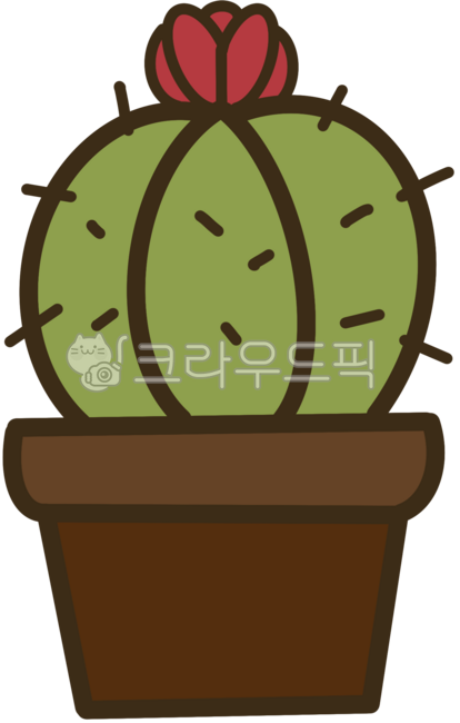 선인장,카투스,선인장꽃,꽃,붉은꽃,cactus,가시,선인장가시,flower