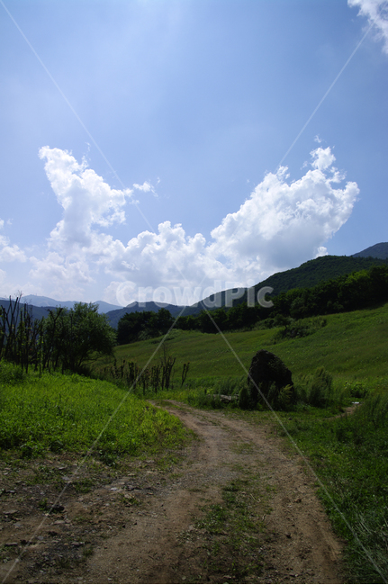 하늘,구름,풍경,식물,들,나무,nature,자연,흙길,자연,풍경,nature,landscape