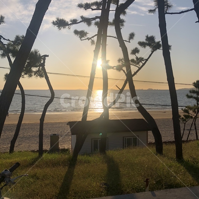 light,빛,바다,노을,햇빛