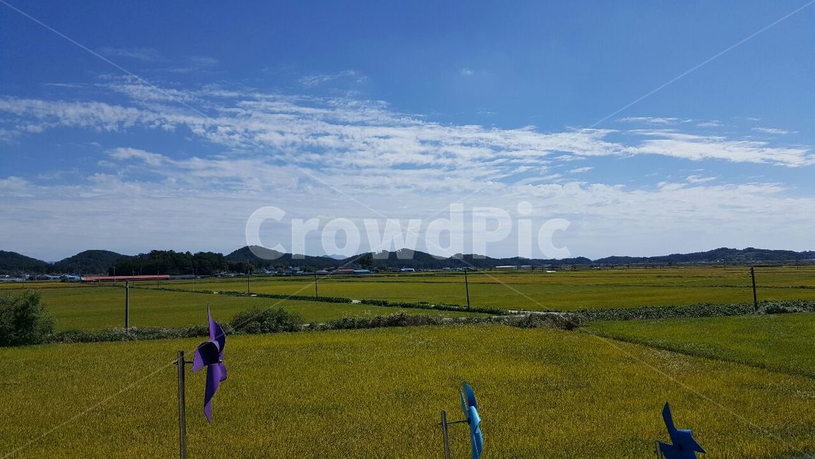 논,바람개비,봄,하늘,시골