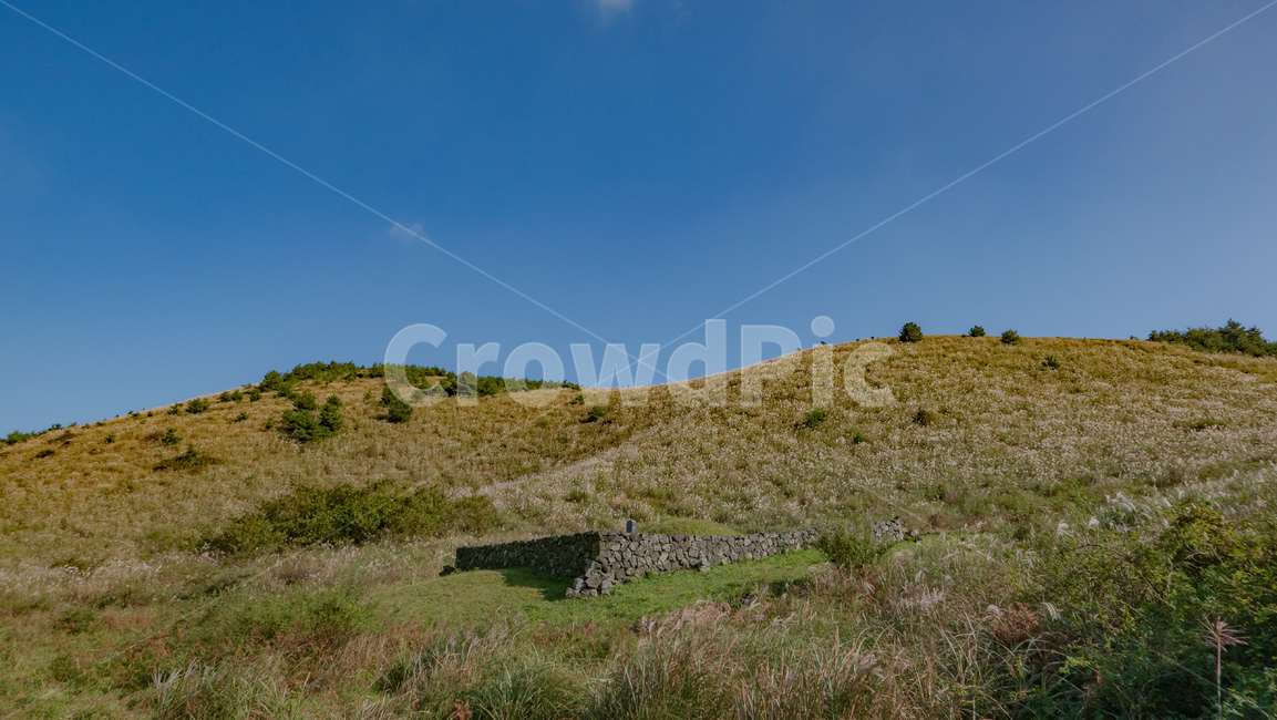 용눈이,용눈이오름,오름,orum,jeju,제주,제주도,제주오름,가을제주,가을,풍경,landscape,grassland,목초지,field,옥외,outdoors,들,nature,자연,자연,풍경,nature,landscape