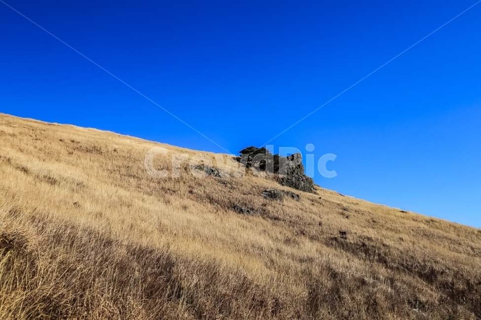 영남알프스,신불산,억새평원,간월재,풍경,등산,산,울산,울주군,자연,풍경,nature,landscape,outdoors,옥외