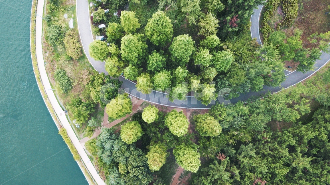 숲,숲길,드론,강,나무,초록,공원,자연,풍경,nature,landscape,vegetation,초목,plant,식물,outdoors,옥외,경치,scenery,tree,rainforest,열대 우림,land,땅,bush,부시,forest,woodland,삼림지,jungle,밀림,aerial view,조감도