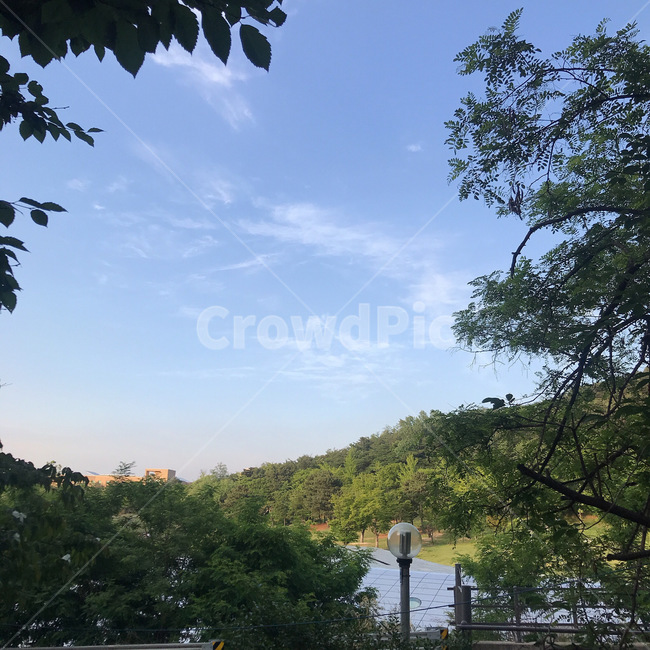 자연,nature,구름,하늘,나무