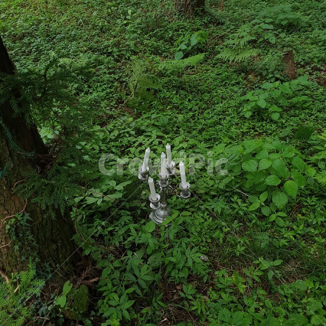 자연,풀,장식,식물,초록색,vase,plant,pottery,pottedplant,초목,풍경,초,촛불,연두,연두색,초록,계절,여름,식물,자연,plants,nature,사물,물건,오브젝트,thing,object,matter