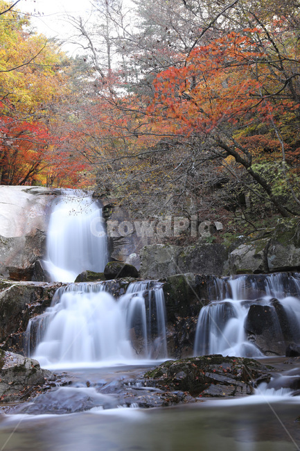 폭포,나무,경치,자연,물,단풍,가을,계절,fall,autumn,season,자연,풍경,nature,landscape,식물,plants,water,outdoors,옥외,river,강,waterfall