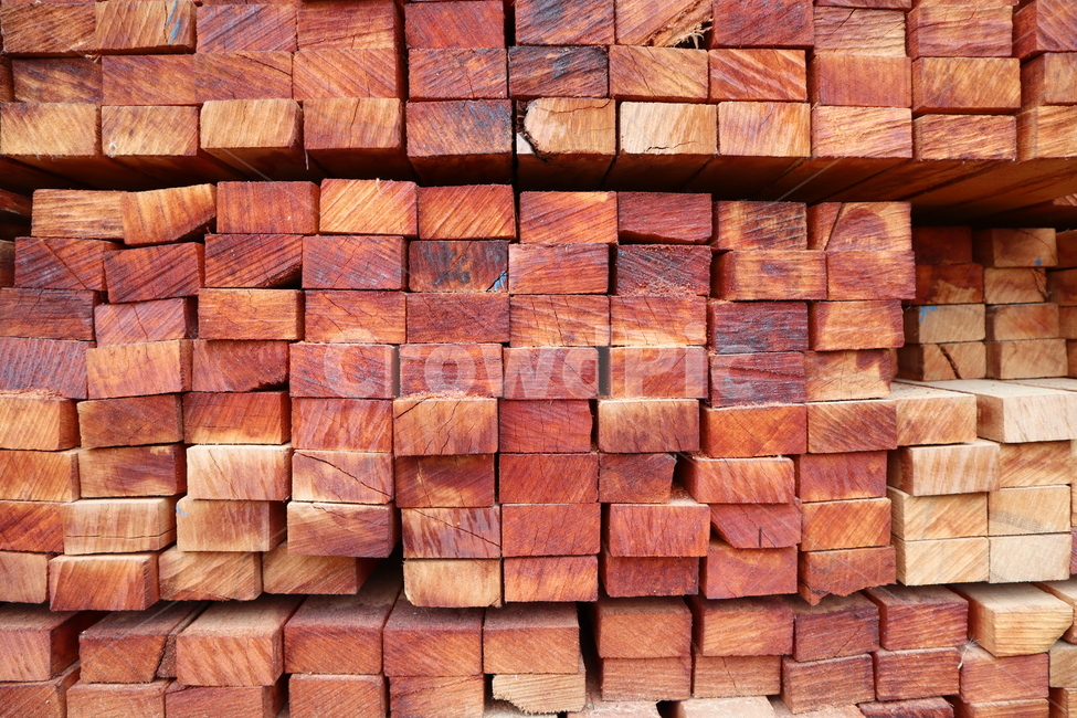 목재,나무,재목,나무조각,땔감,wood,tree,lumber,timber,firewood
