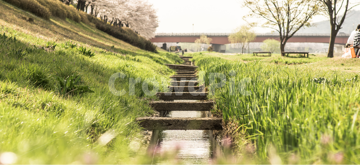 봄,잔디,수로,spring,감성,봄,계절,spring,season,감성,sensible,feeling,휴식,힐링,rest,relaxation,healing,ditch,도랑