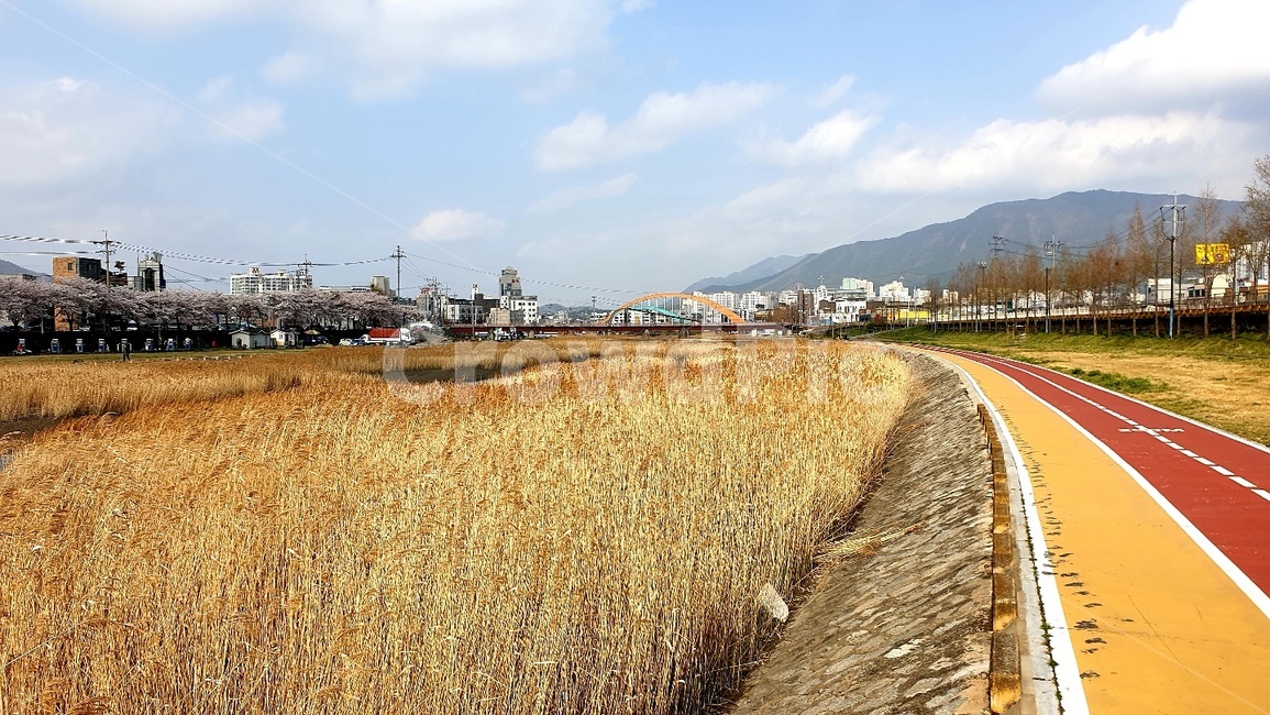 풍경,자전거길,평화,잔잔함,하늘,논,밭,가을,자연,풍경,nature,landscape