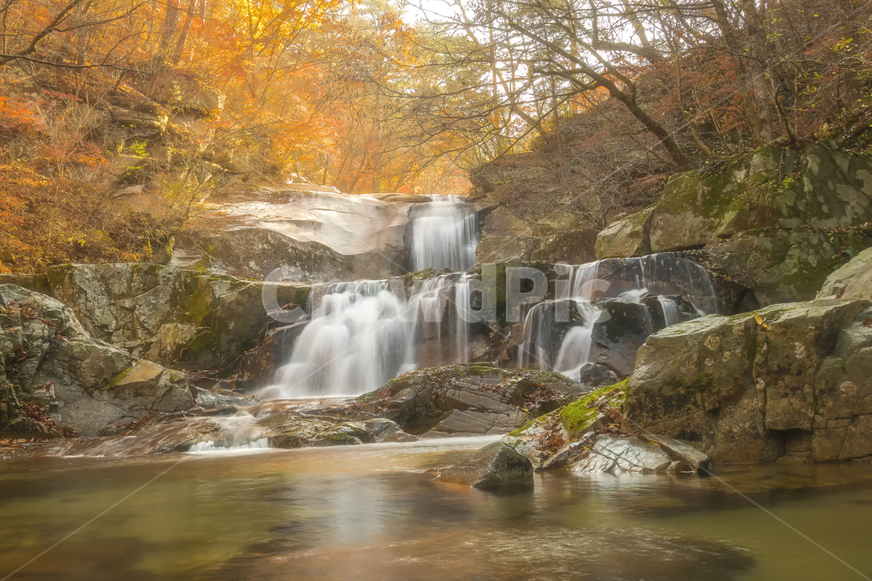 가을,풍경,계곡,폭포,아침,가을,계절,fall,autumn,season,자연,풍경,nature,landscape,한국자연풍경,한국자연경관,korea nature landscape,river,강,outdoors,옥외,water,물,waterfall
