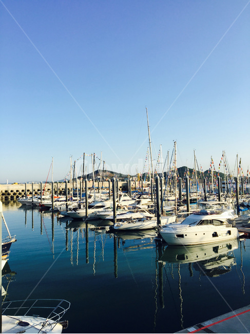 배,요트,항구,바다,ship,sea