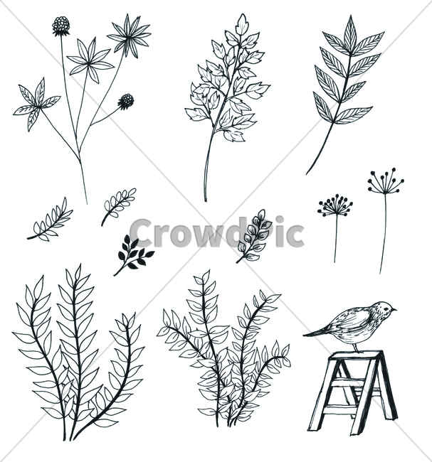 손그림,handdrawing,팬그림,팬라인,pen,penline,penpicture,pendrawing,꽃,flower,bloom,blossom,나뭇잎,leaf,foliage,umbrage,나뭇가지,bough,twig,sprig,branch,plant,식물,animal,동물,bird,새