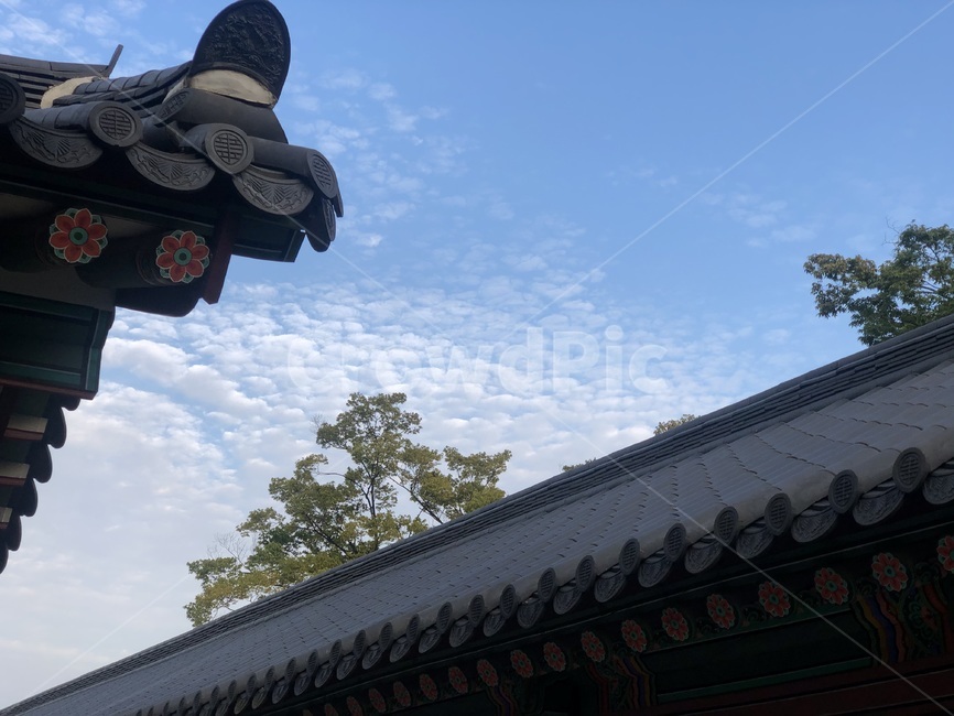 궁,창덕궁,궐내,궐내각사,기와,한국전통,한국문화,korean traditional,korean culture