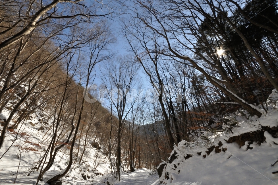 등산,눈꽃,산행,민주지산,상고대,명산,영동,영동군,눈꽃산행,겨울등산,산그리메,산봉우리,climb,climbming,겨울,계절,winter,season,자연,풍경,nature,landscape,plant,식물,tree,나무