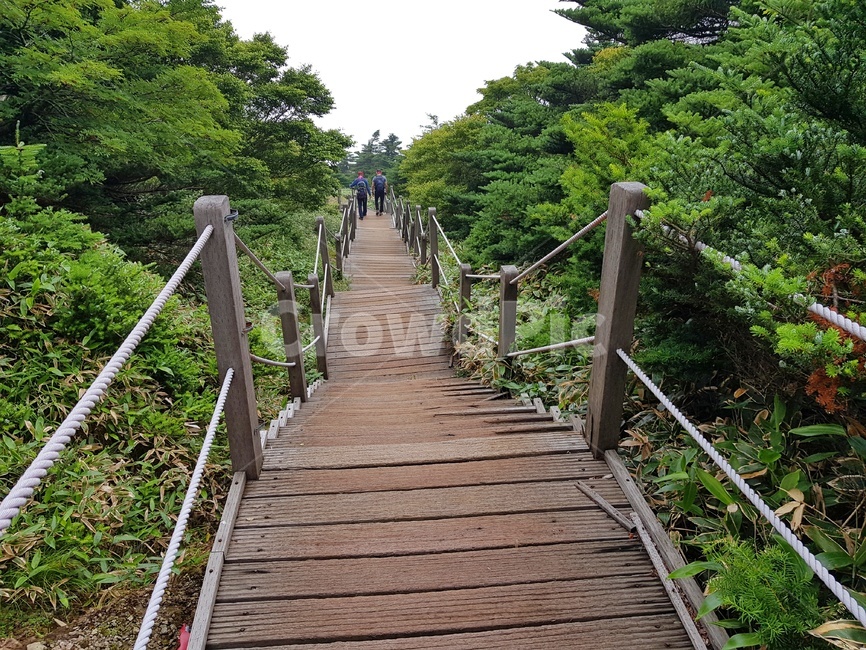 계단,길,한라산,동반자,내리막