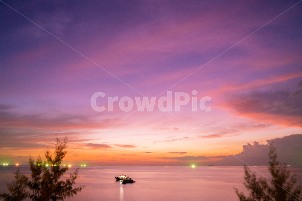 노을,sunset,핑크,pink,하늘,sky,clouds,구름,해질녘,그라데이션,바다,배,ship,boat,sea,자연,풍경,nature,landscape,land,땅,outdoors,옥외,shoreline,해안선,water,물,ocean,대양,tree,나무,plant,식물
