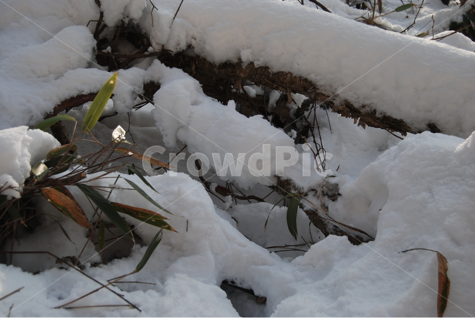 눈,snow,겨울,winter,자연,겨울,계절,winter,season,자연,풍경,nature,landscape,outdoors,옥외
