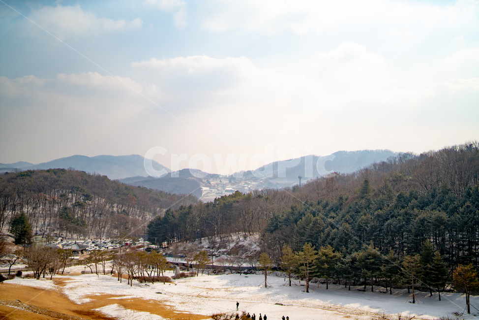 풍경,산,빛,나무,숲,눈,겨울,청주,산당산성
