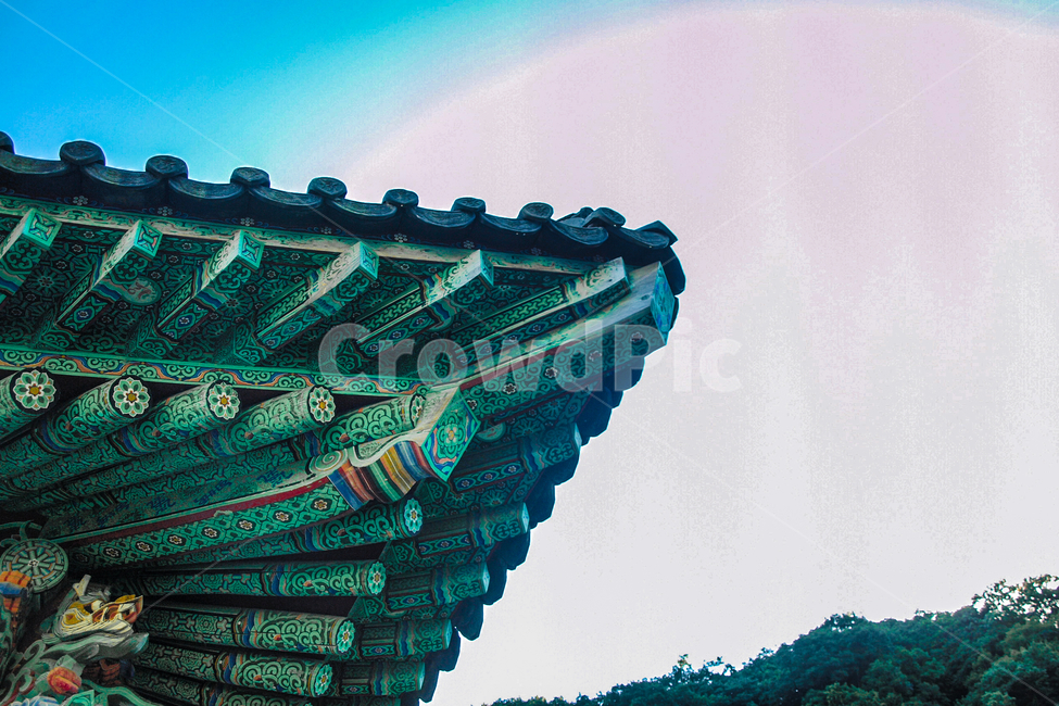 광덕사,사찰,단청,풍경,불교,한국,전통,한옥,지붕,처마,부처