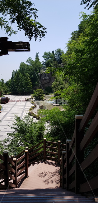 도화동,수봉공원,나무,길,인천
