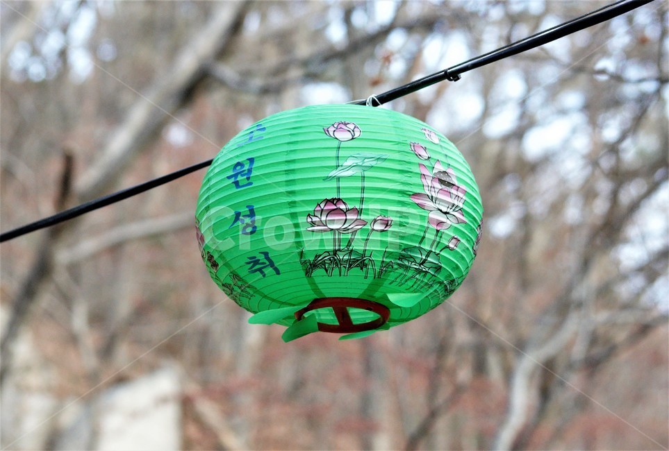 석굴암,절,등,소원,이룸,자연,조화