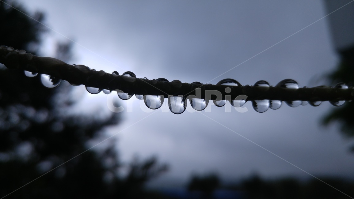 물방울,빗방울,비,작은물방울,눈물,입눈,droplet