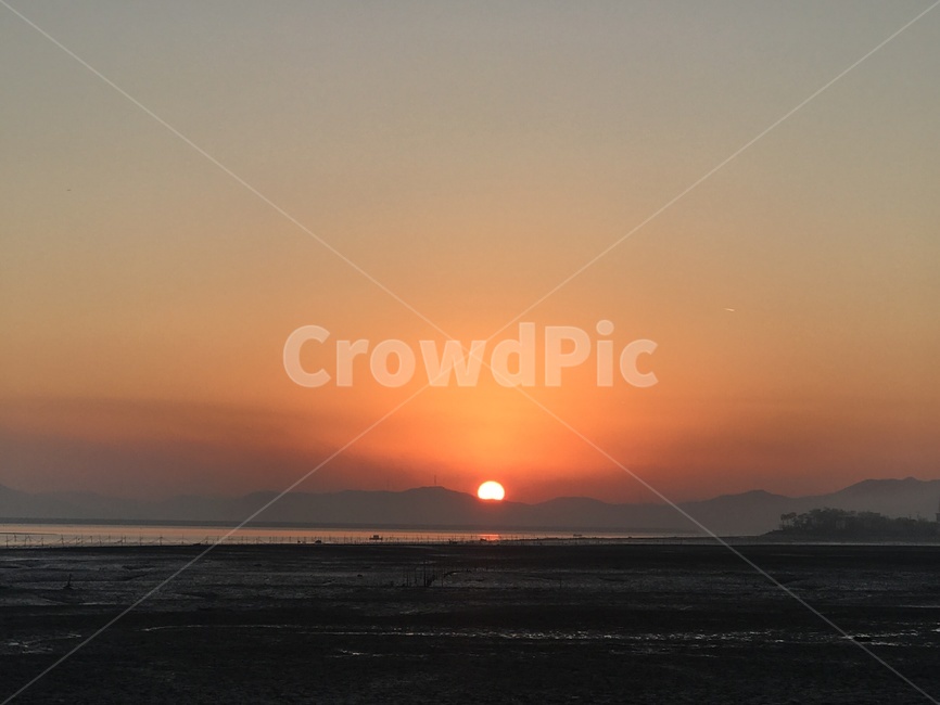 새,bird,outdoors,animal,dusk,redsky,하늘,sky,붉은하늘,일출