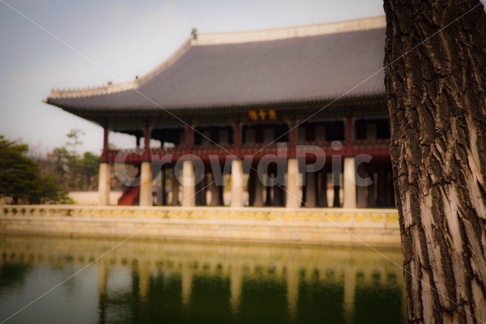 beauty,scenery,house,scene,beautiful,Gyeongbokgung,view,Seoul,sight,tile,tradition,Korea,architecture,palace,sky,convention,Palace,king,Harmony,custom,tree,heritage,Korean meaning,water,seoul,korea,Hanok,culture,landscape