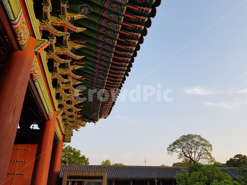 한국,전통,창경궁,문화재,역사,korea,tradition,changgyeonggung,palace,history