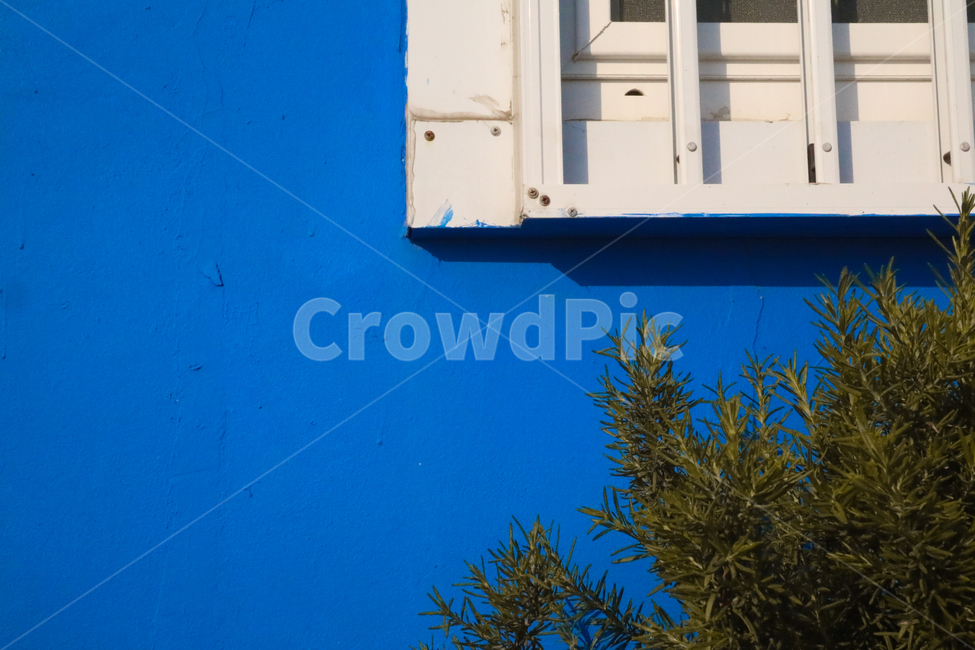 건물,풀,식물,창문,영도,부산,파랑색,blue,color,색감,건축물,structure,architecture,파스텔,비비드,vivid