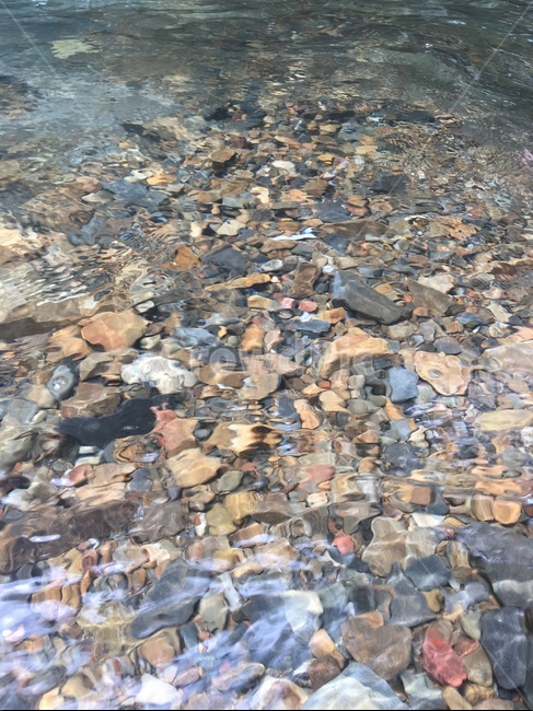 물,깨끗한물,물속,계곡,이쁜물,투명한,또랑,자연,풍경,nature,landscape
