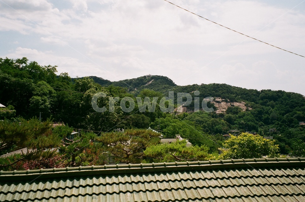 필름,지붕,기와,자연,나무,자연,풍경,nature,landscape,roof