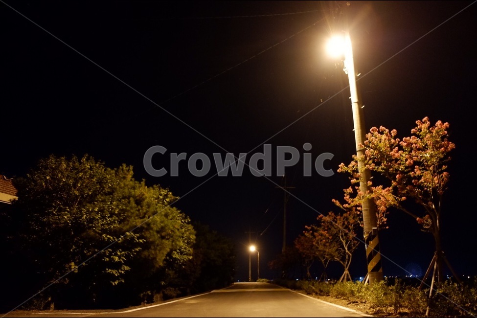 야경,집앞,가로등,길,밤길,야경,밤,풍경,nightscape,night,landscape,asphalt,아스팔트,road,도로