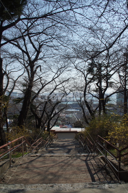 공원,공원계단,봄계단,내리막계단,내림계단,자연,풍경,nature,landscape,handrail,난간,banister
