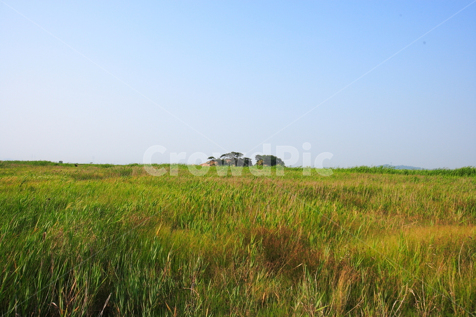 들판,풀,하늘,자연,sky,grass