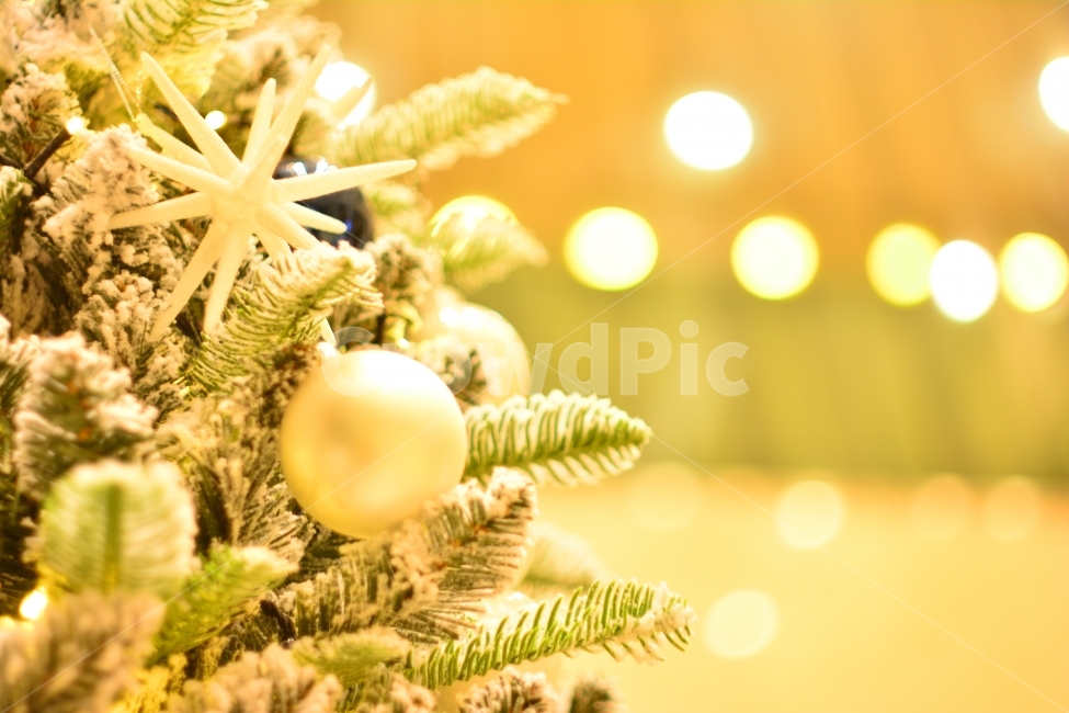 트리,성탄절,년말,장식,크리스마스,xmas,볼,원형,공,보케,빛,조명,빛망울,배경흐림,시안,디자인,데코레이션,decoration,tree,christmas,별,옐로우,종교,탄신일,탄생,축하,화이트,크리스마스트리,눈,감성,분위기,필,느낌,노랑색,sns,ebook,emotion,feeling,홍보,편집,모바일,전단,사보,카다로그,잡지,리플렛,뉴스레터,마케팅,예수,기념일,아웃포커스,겨울,계절,winter,season,기념일,축하,anniversary,congratulation,celebrate,celebration,메리크리스마스,성탄절,merry christmas,감성,sensible,feeling