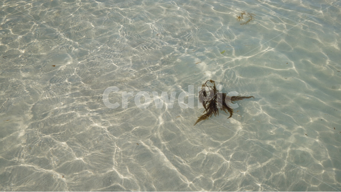 Jejudo,제주도,jejusea,제주바다,파도,wave,감성,sensibility,해변,바다,beach,sea