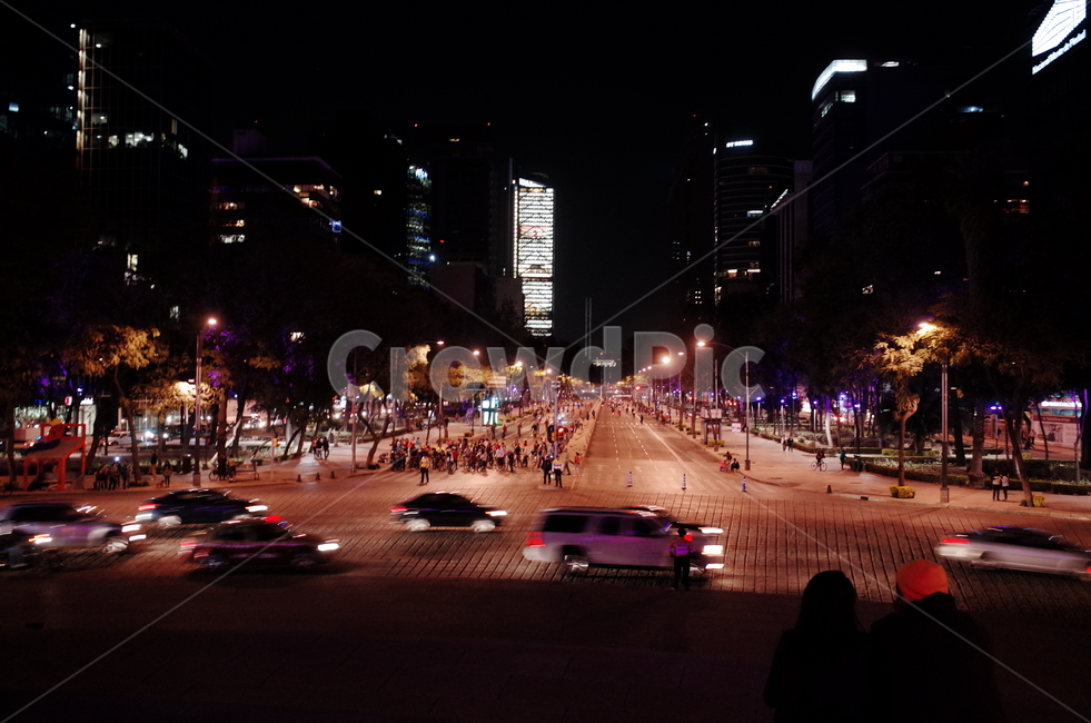 road,도로,교통,도심,멕시코시티,야경,밤,풍경,nightscape,night,landscape