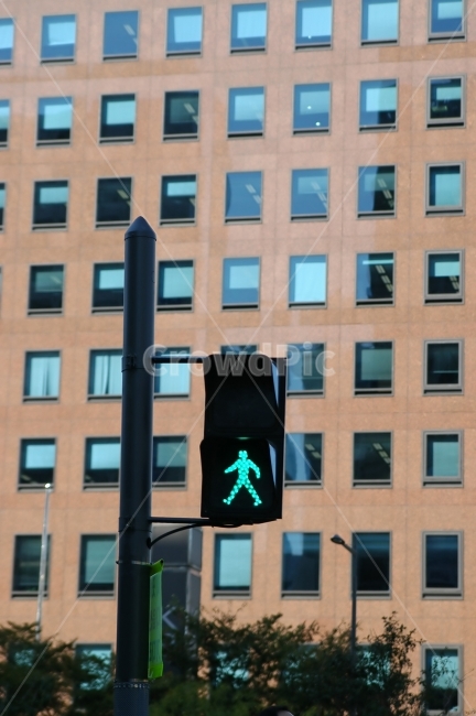 신호등,빌딩,도시,비지니스,비즈니스,신호,횡단보도,도심,건물,유리창,trafficlights,city,교통,교통수단,traffic,transportation,비즈니스,사업,business,service,work