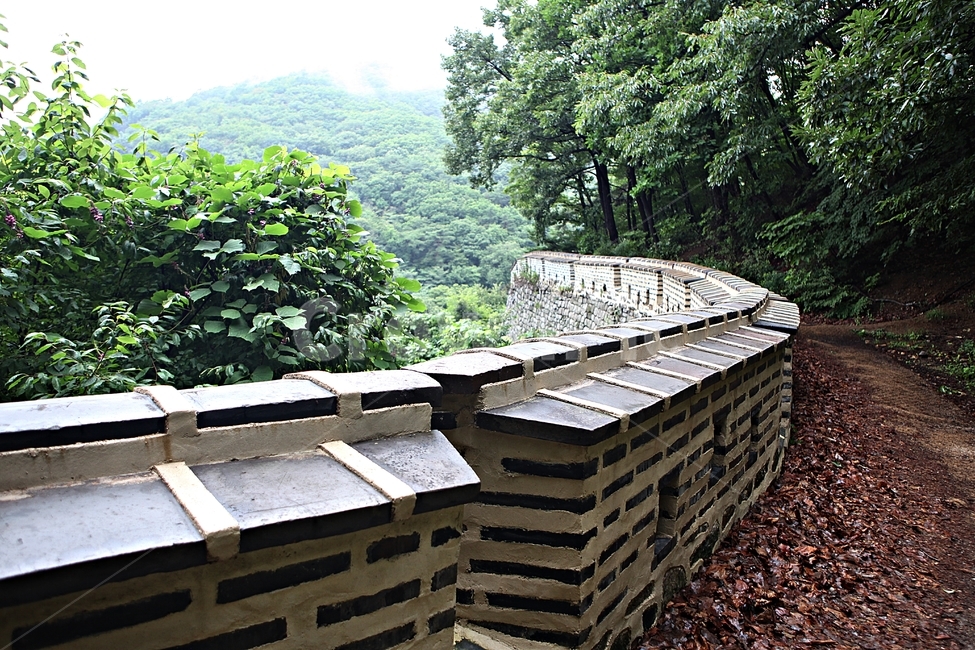 남한산성,성,성곽,길,둘레길,벽,숲,숲길,담,돌담,여름,풍경