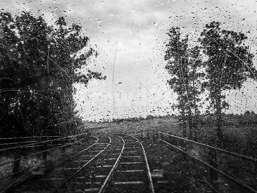 빗방울,비,패턴,질감,흑백,raindrops,rain,pattern,texture,blackandwhite,black,자연,풍경,nature,landscape,비,비오는날,rain,rainy,흑백,모노톤,monochrome,black and white,railway,철도,train track,기찻길,rail,레일,transportation,교통