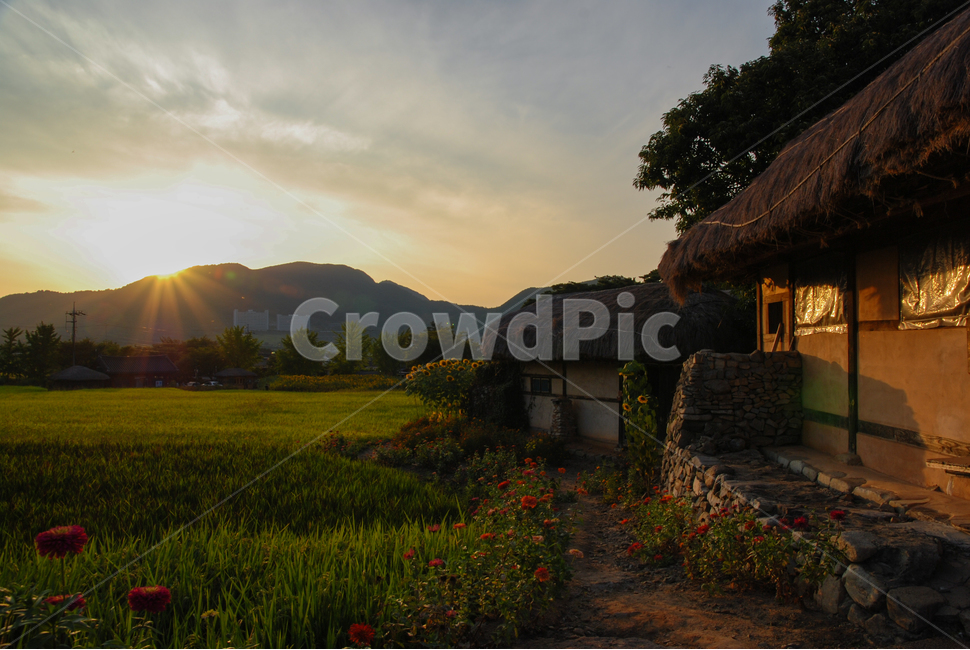 자연,시골,시골풍경,가을,가을풍경,nature,countryside,시골,마을,풍경,landscape,country,rural,town