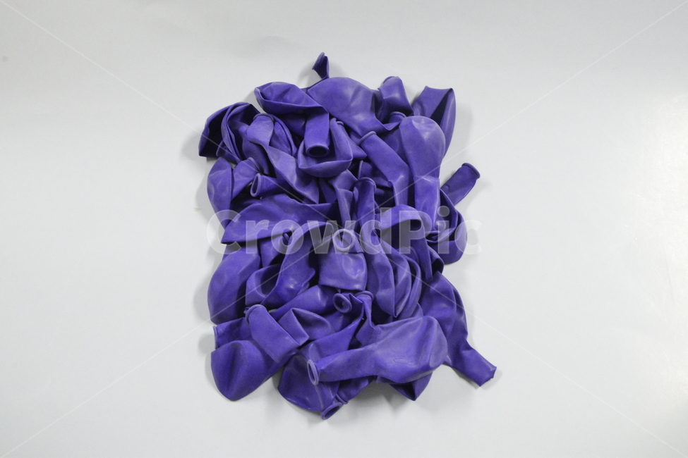 풍선,balloon,일반풍선,고무,묶음,purple,purpleballoon,violet,violetballoon,보라,바이올렛