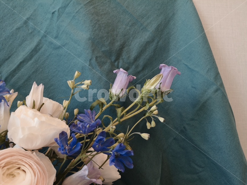 plant,식물,blossom,flower,꽃,꽃꽂이,flowerarrangement