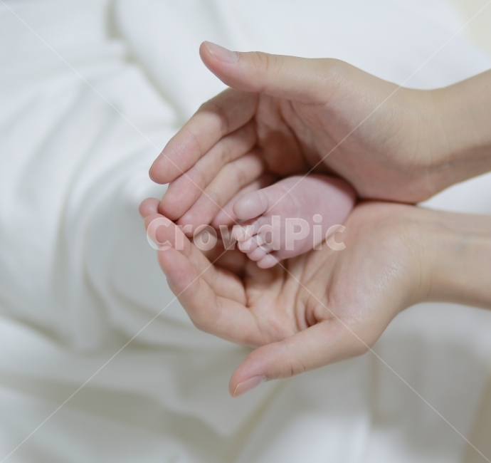 아기,뉴본,본아트,신생아,성장앨범,사람,인물,인간,human,person,신체일부,몸,body,영유아,아기,애기,아이,infants,baby