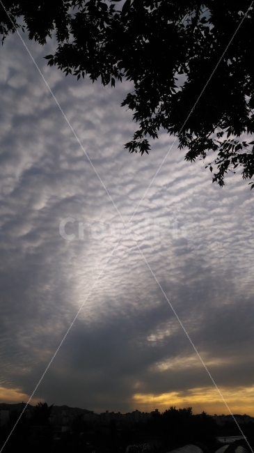 evening scenery,sky,romance,sunset,cloud waves,golden sunset,spare