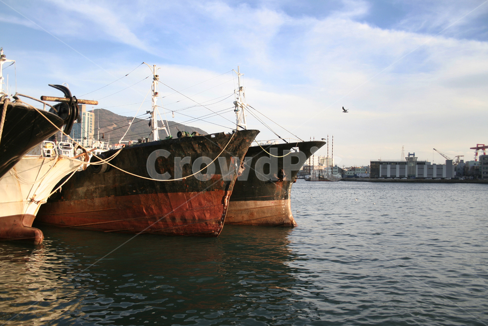 보트,배,물,바다,선박,항구,부산,water,waterfront,boat,교통